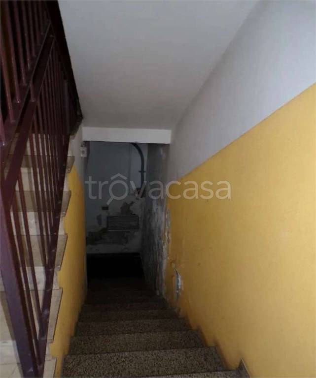 immagine annuncio 6 di 14