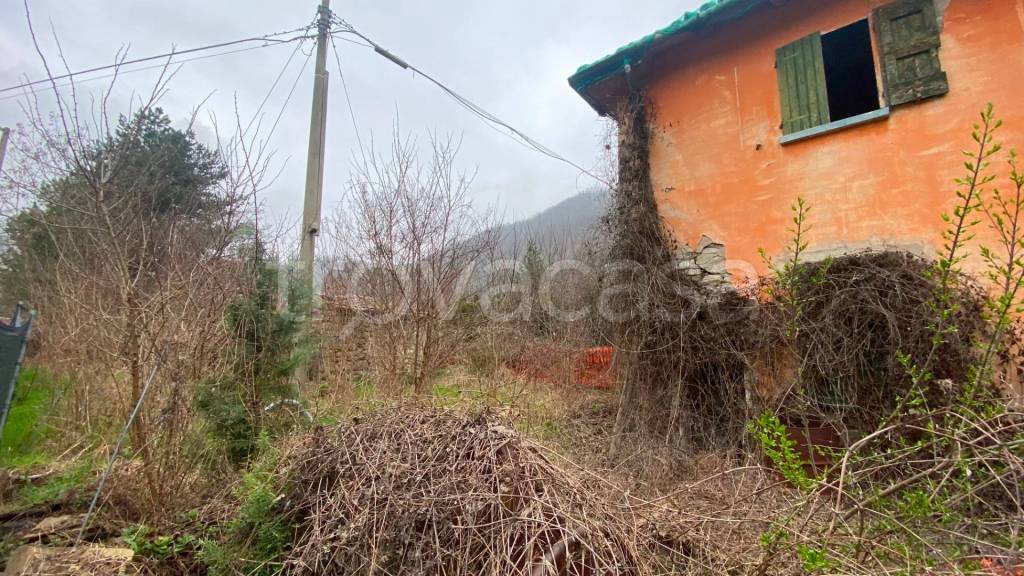 immagine annuncio 11 di 13