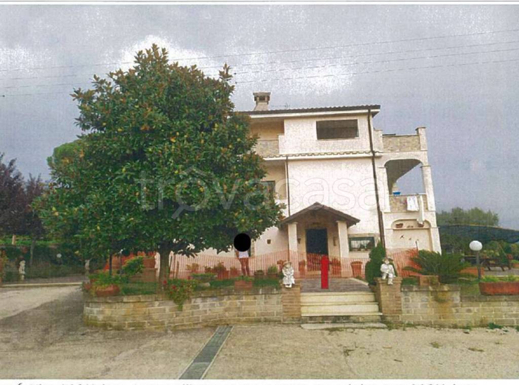 immagine annuncio 5 di 11