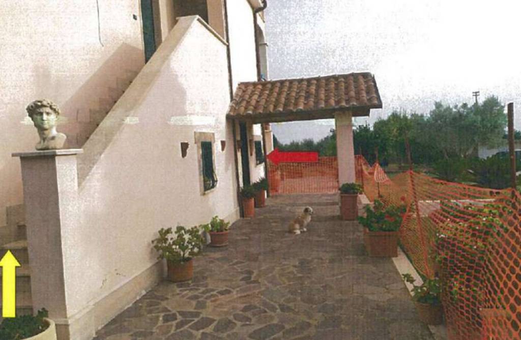immagine annuncio 6 di 11