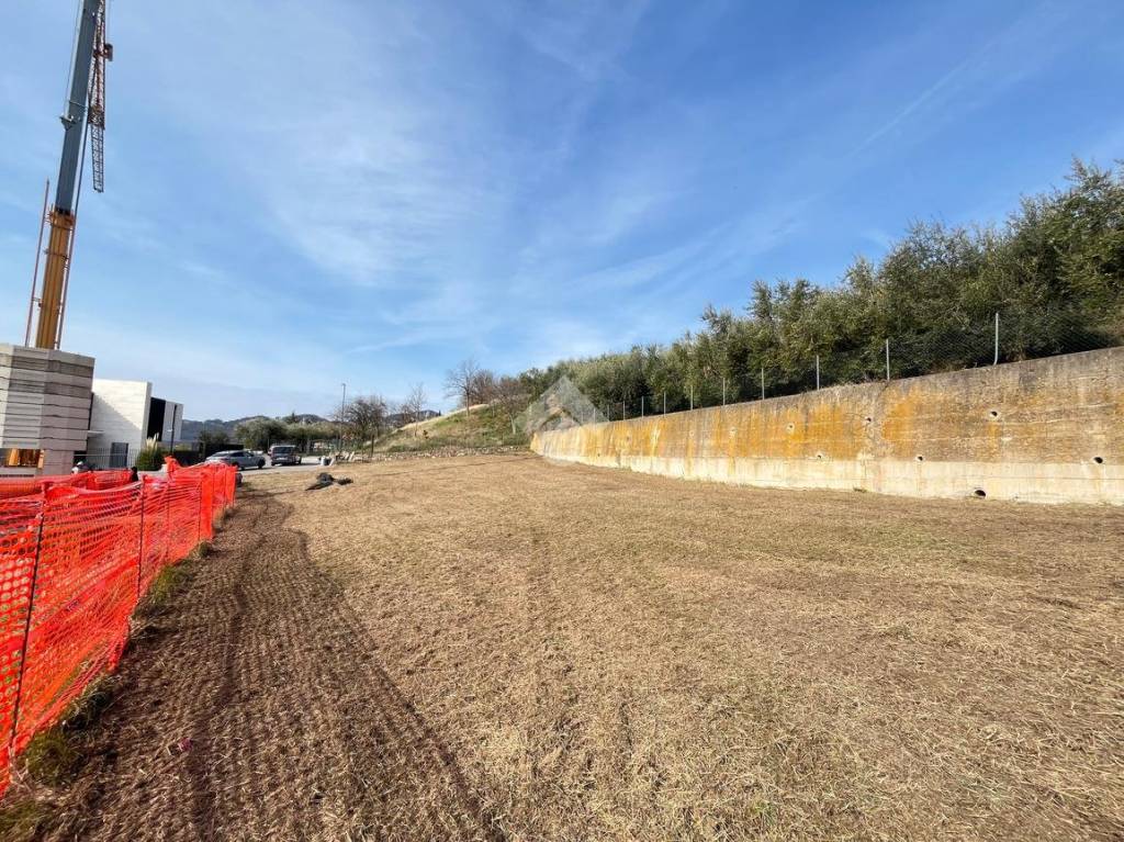 immagine annuncio 6 di 12