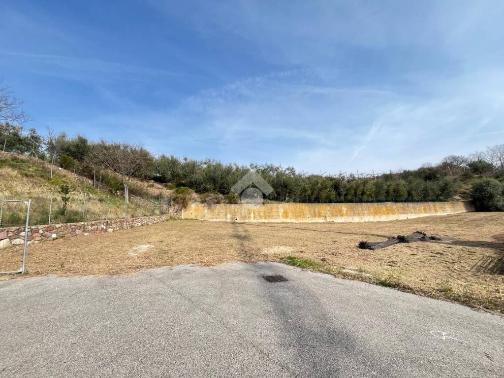 immagine annuncio 7 di 12