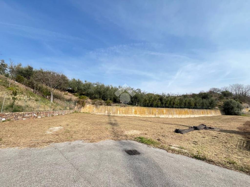 immagine annuncio 8 di 12