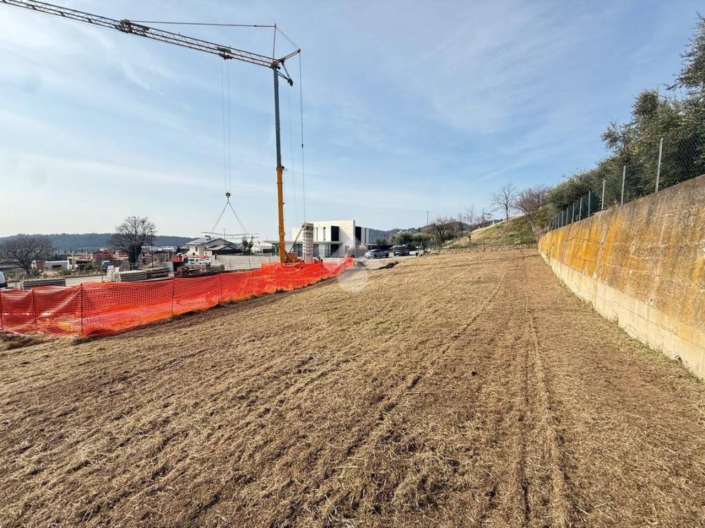 immagine annuncio 9 di 12