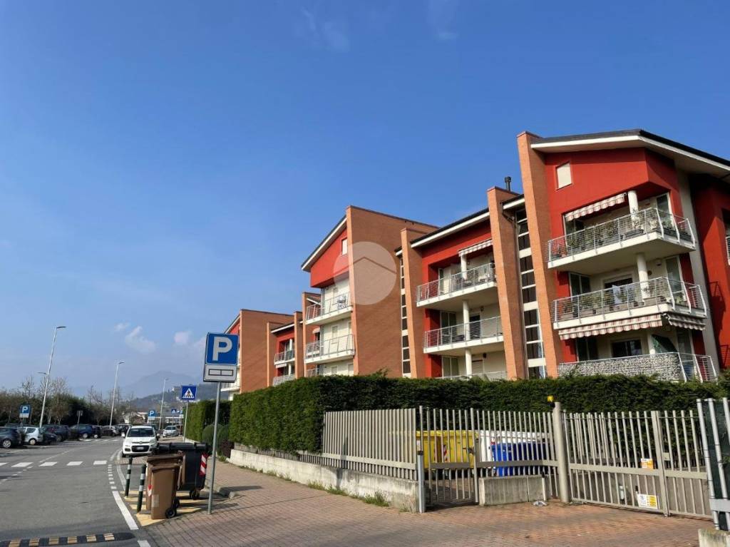 immagine annuncio 5 di 15