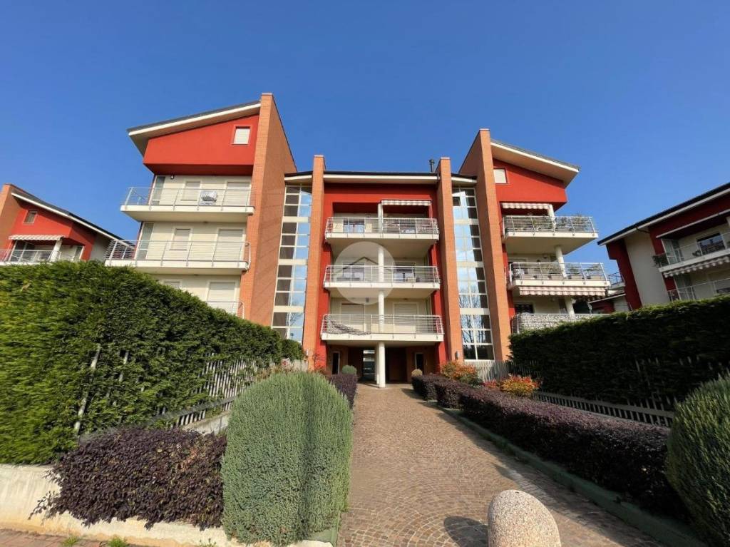 immagine annuncio 9 di 15