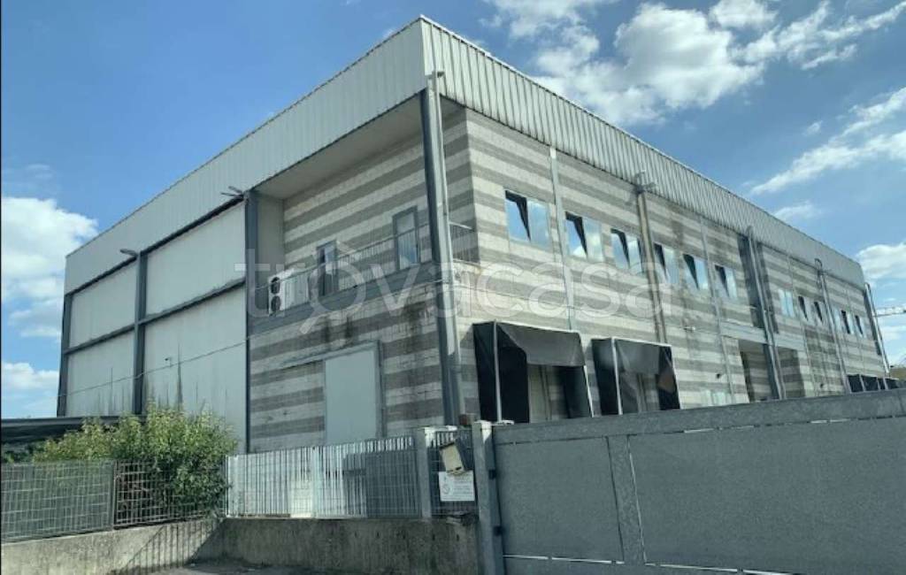 immagine annuncio 1 di 8