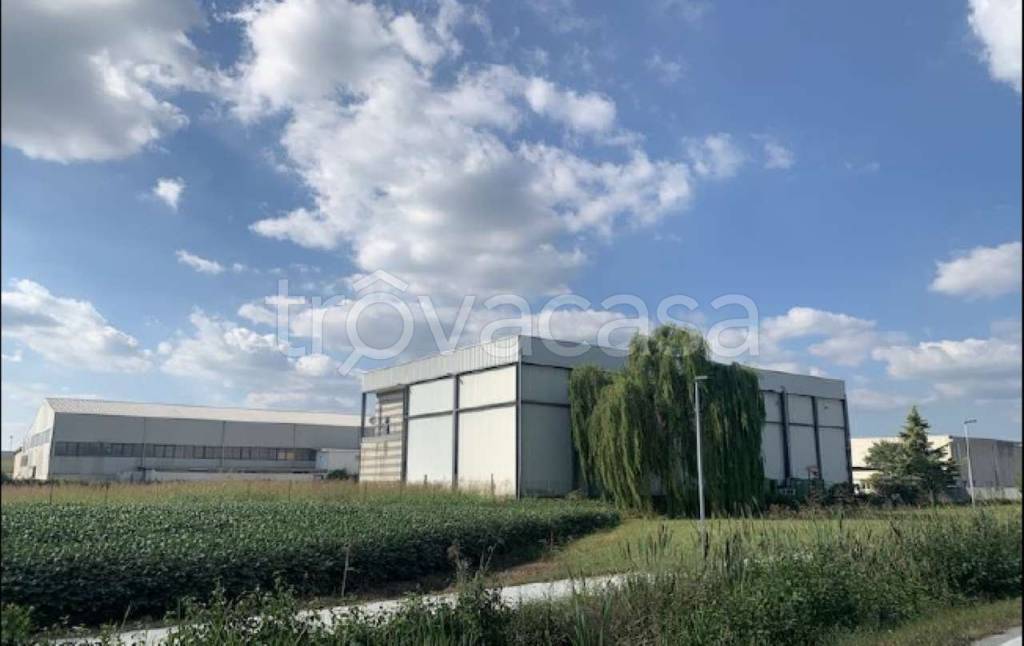 immagine annuncio 2 di 8