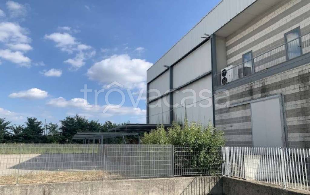 immagine annuncio 3 di 8