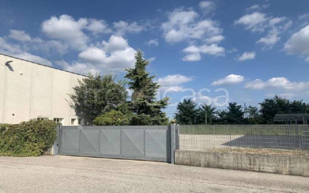 immagine annuncio 4 di 8