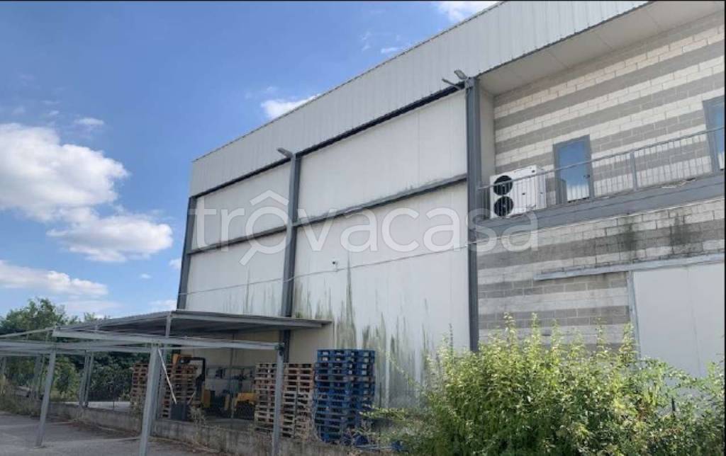 immagine annuncio 5 di 8