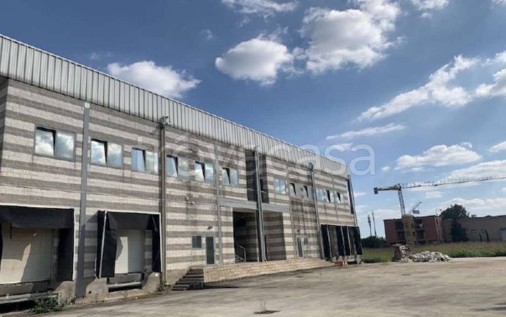 immagine annuncio 6 di 8