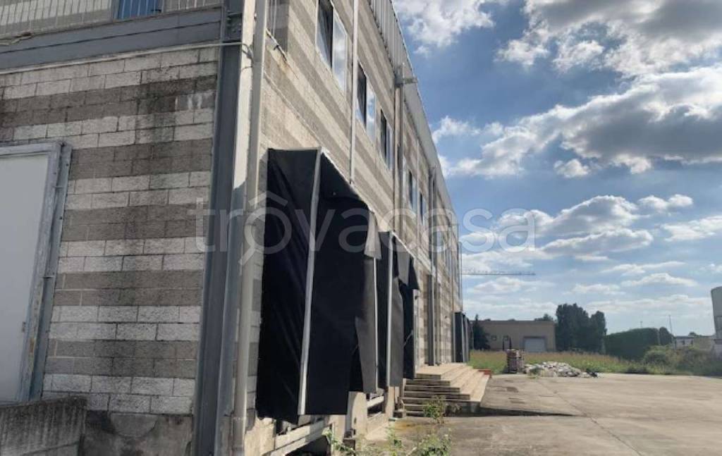 immagine annuncio 7 di 8