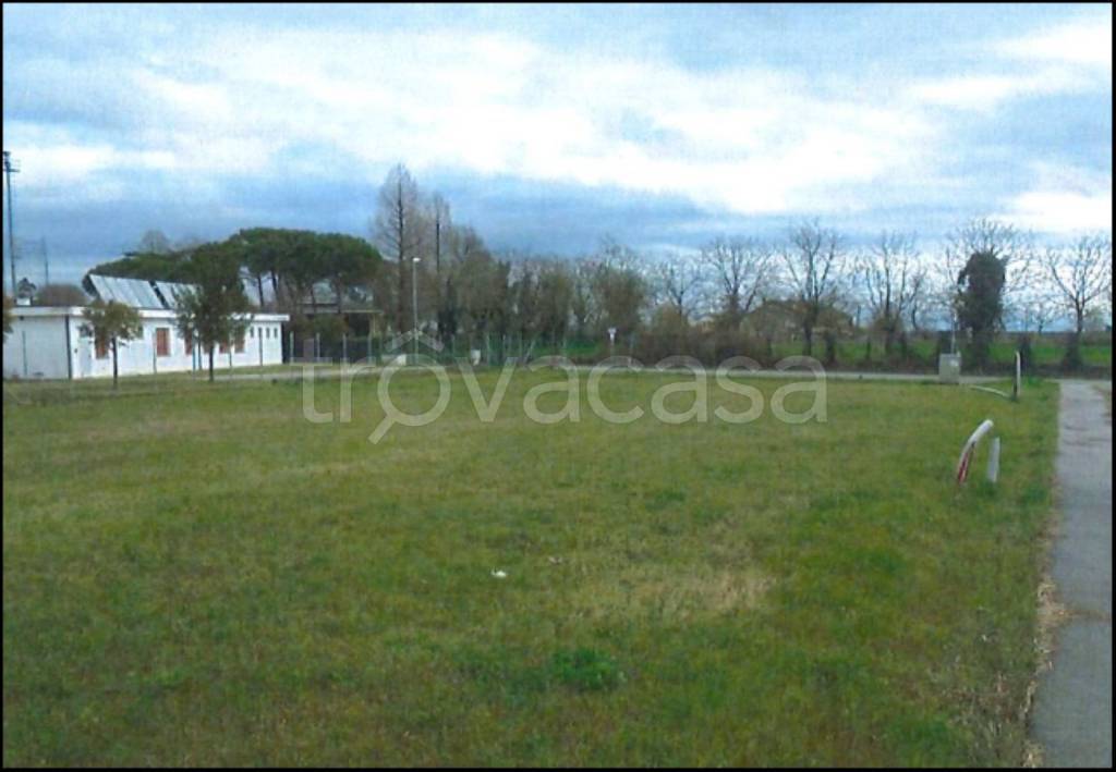 immagine annuncio 2 di 12