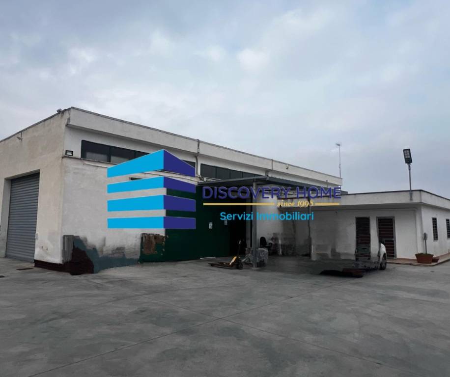 immagine annuncio 1 di 13