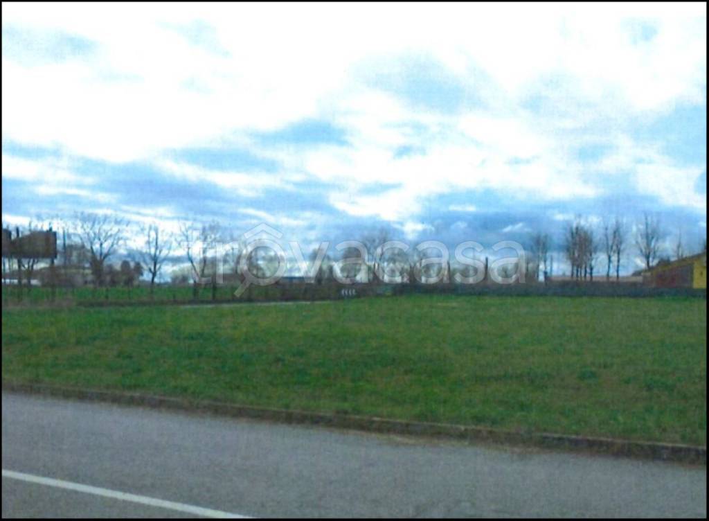 immagine annuncio 3 di 12