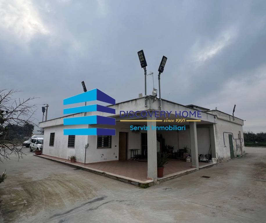 immagine annuncio 3 di 13