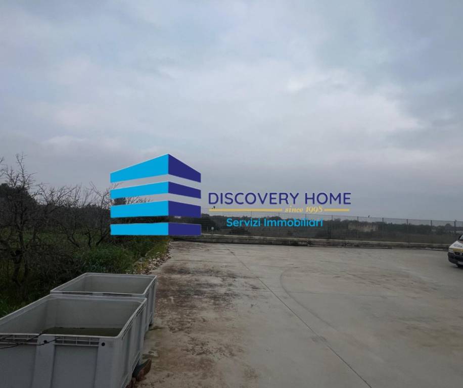 immagine annuncio 5 di 13