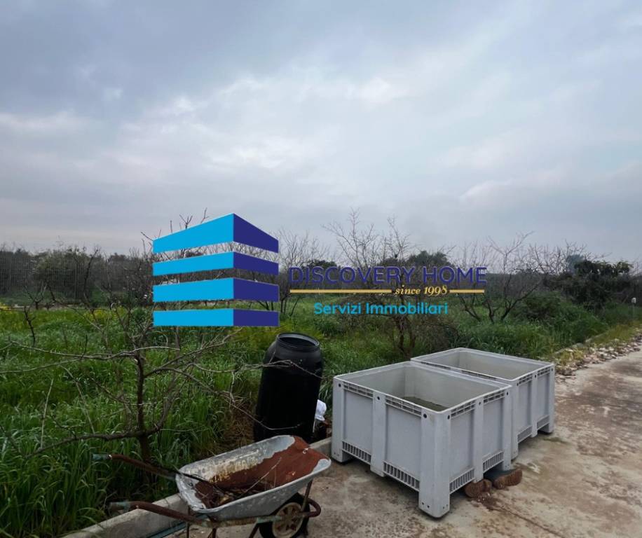 immagine annuncio 7 di 13