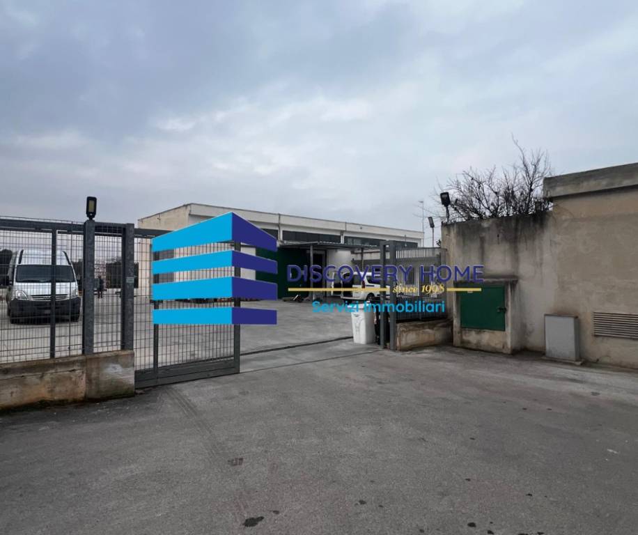 immagine annuncio 9 di 13