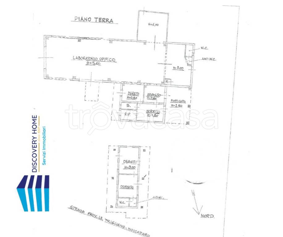 immagine annuncio 12 di 13