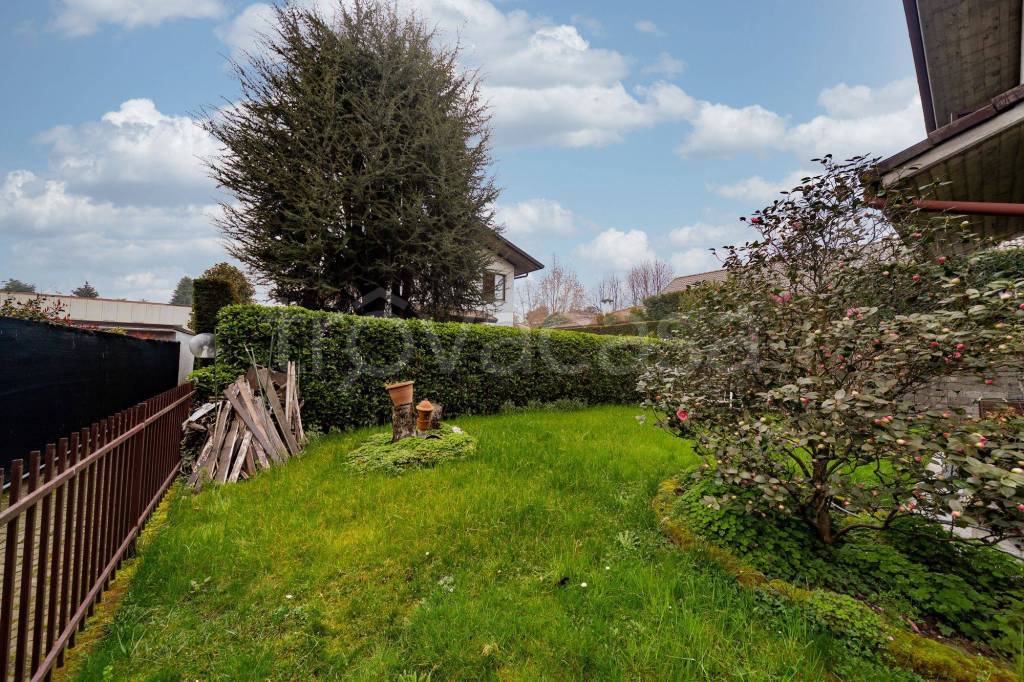 immagine annuncio 6 di 15