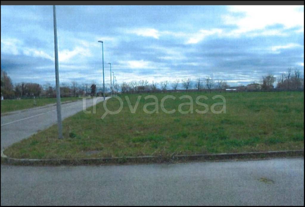 immagine annuncio 7 di 12