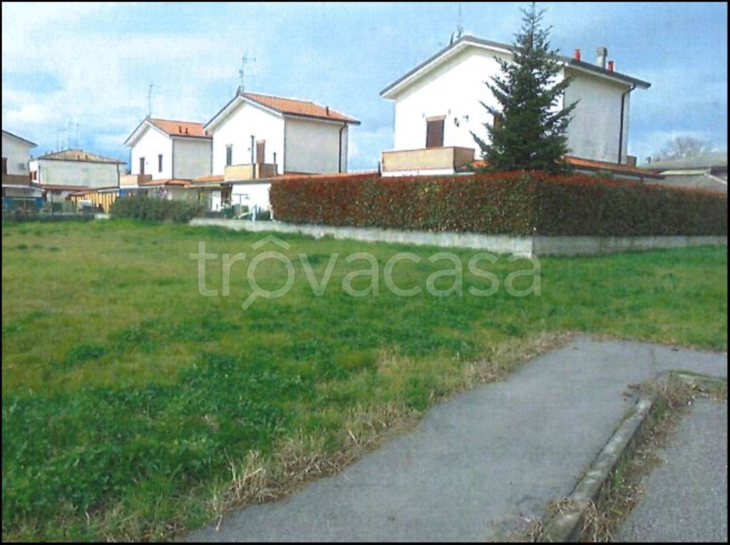 immagine annuncio 9 di 12