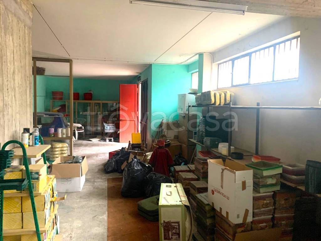 immagine annuncio 7 di 8