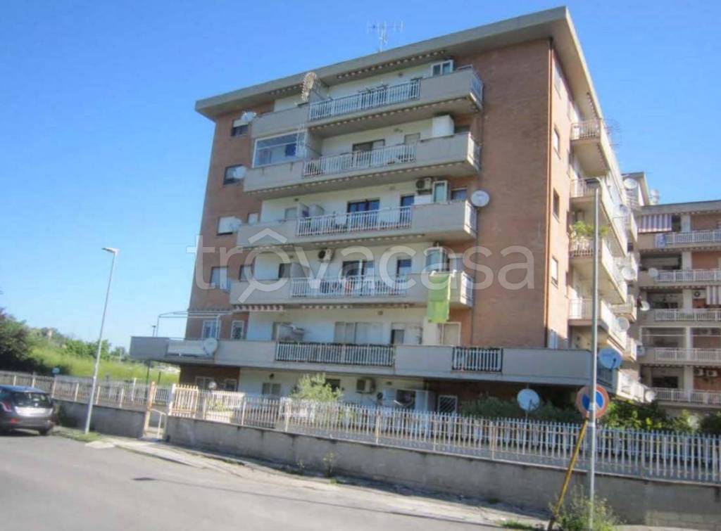 immagine annuncio 9 di 10