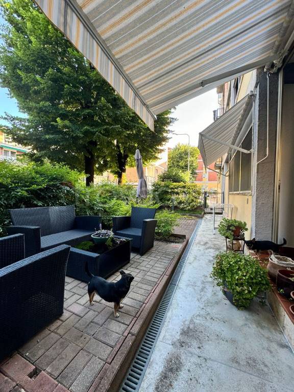 immagine annuncio 1 di 12