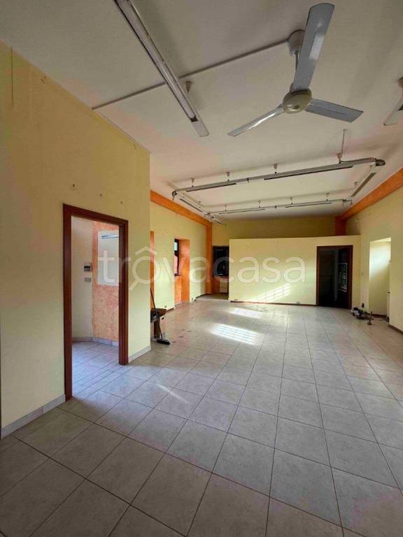 immagine annuncio 2 di 9