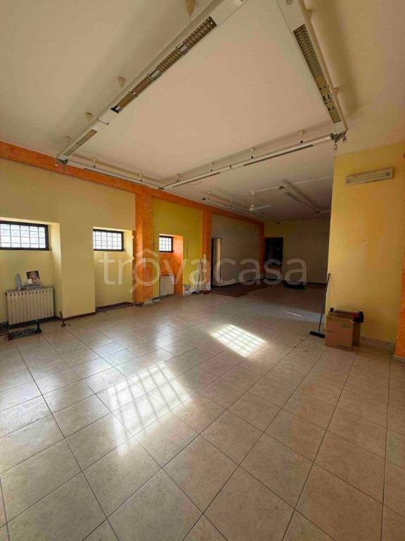 immagine annuncio 5 di 9