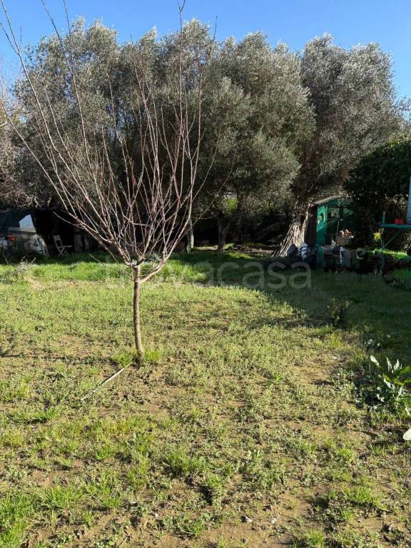 immagine annuncio 5 di 12