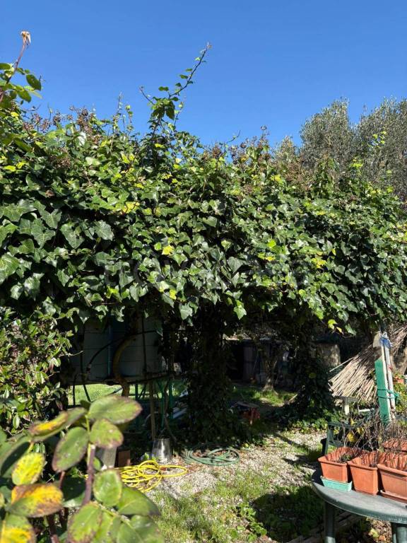 immagine annuncio 10 di 12