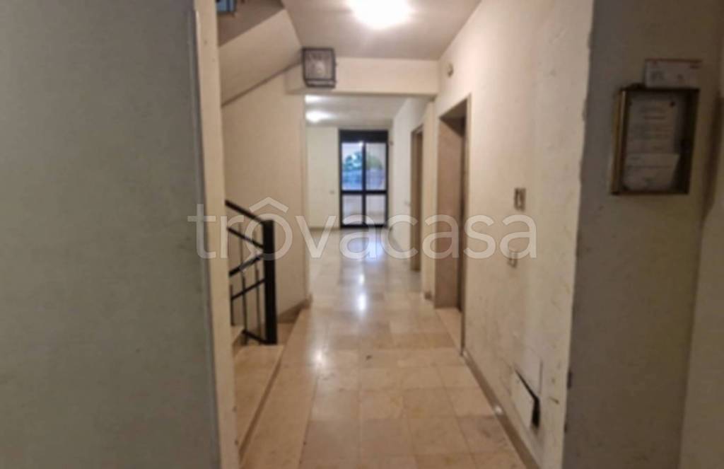 immagine annuncio 7 di 14