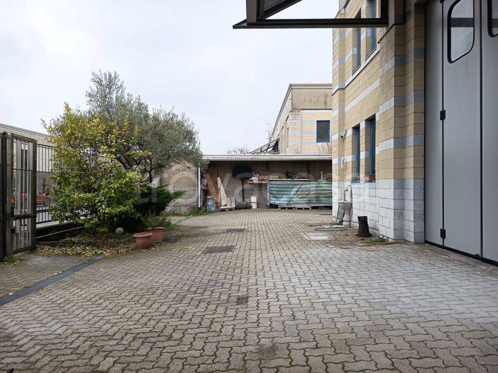 immagine annuncio 6 di 15