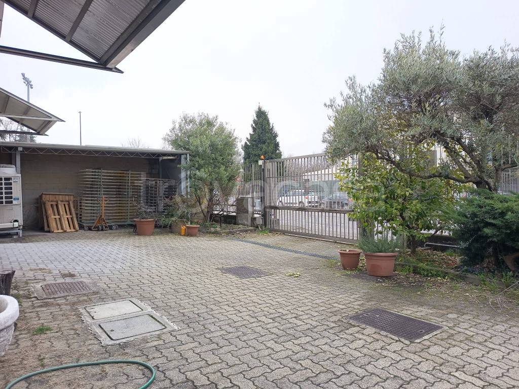 immagine annuncio 1 di 15