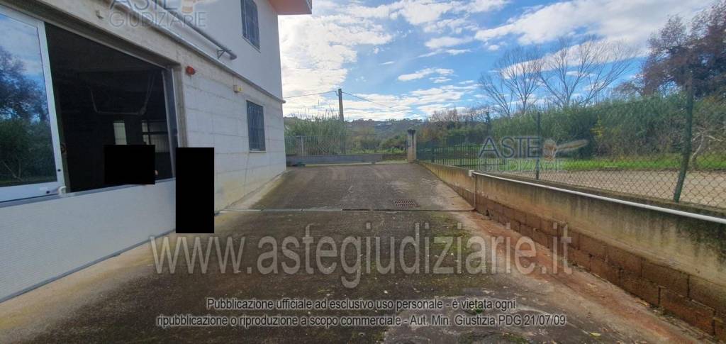 immagine annuncio 1 di 7