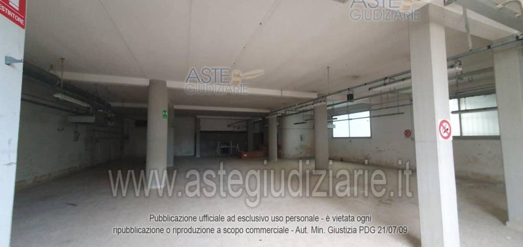 immagine annuncio 3 di 7