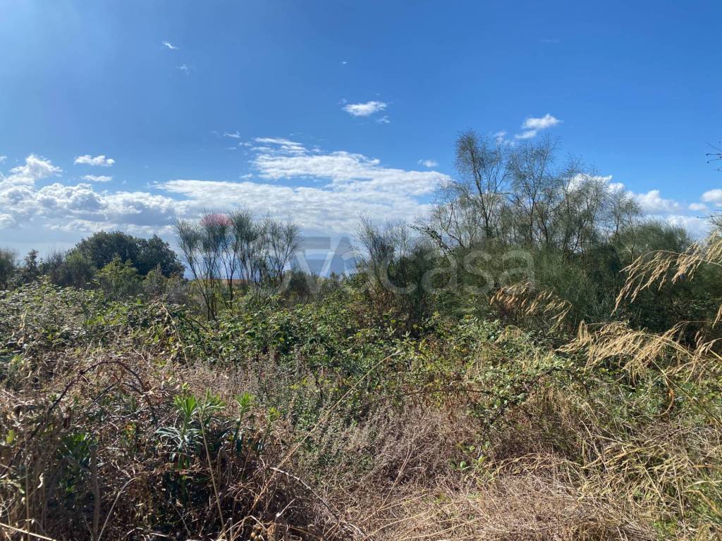 immagine annuncio 7 di 13