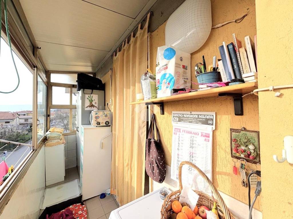 immagine annuncio 5 di 15