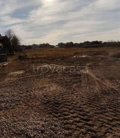 immagine annuncio 4 di 12