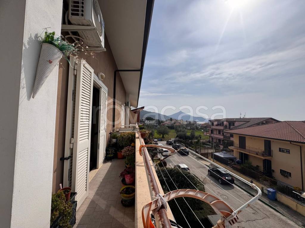 immagine annuncio 11 di 14