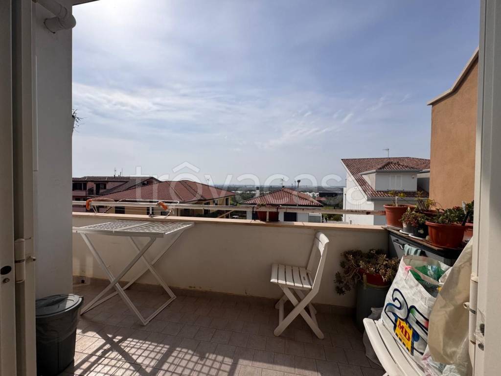 immagine annuncio 12 di 14