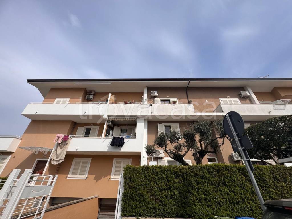 immagine annuncio 13 di 14