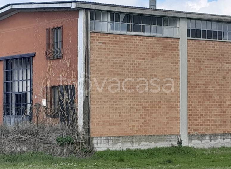 immagine annuncio 2 di 9