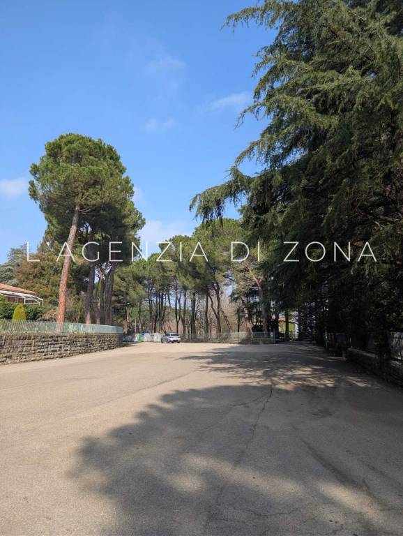 immagine annuncio 5 di 9