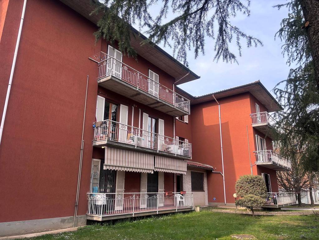 immagine annuncio 12 di 15