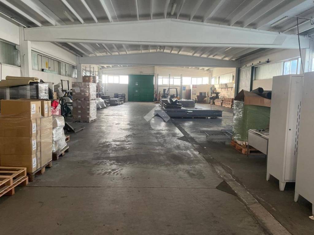 immagine annuncio 2 di 11